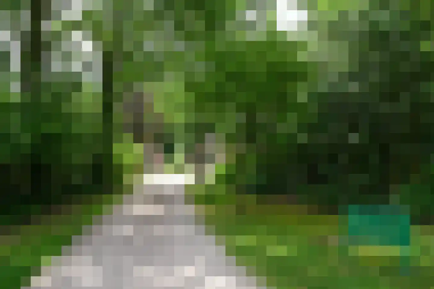 Landweerswal 2 210 Braamt thumbnail 31