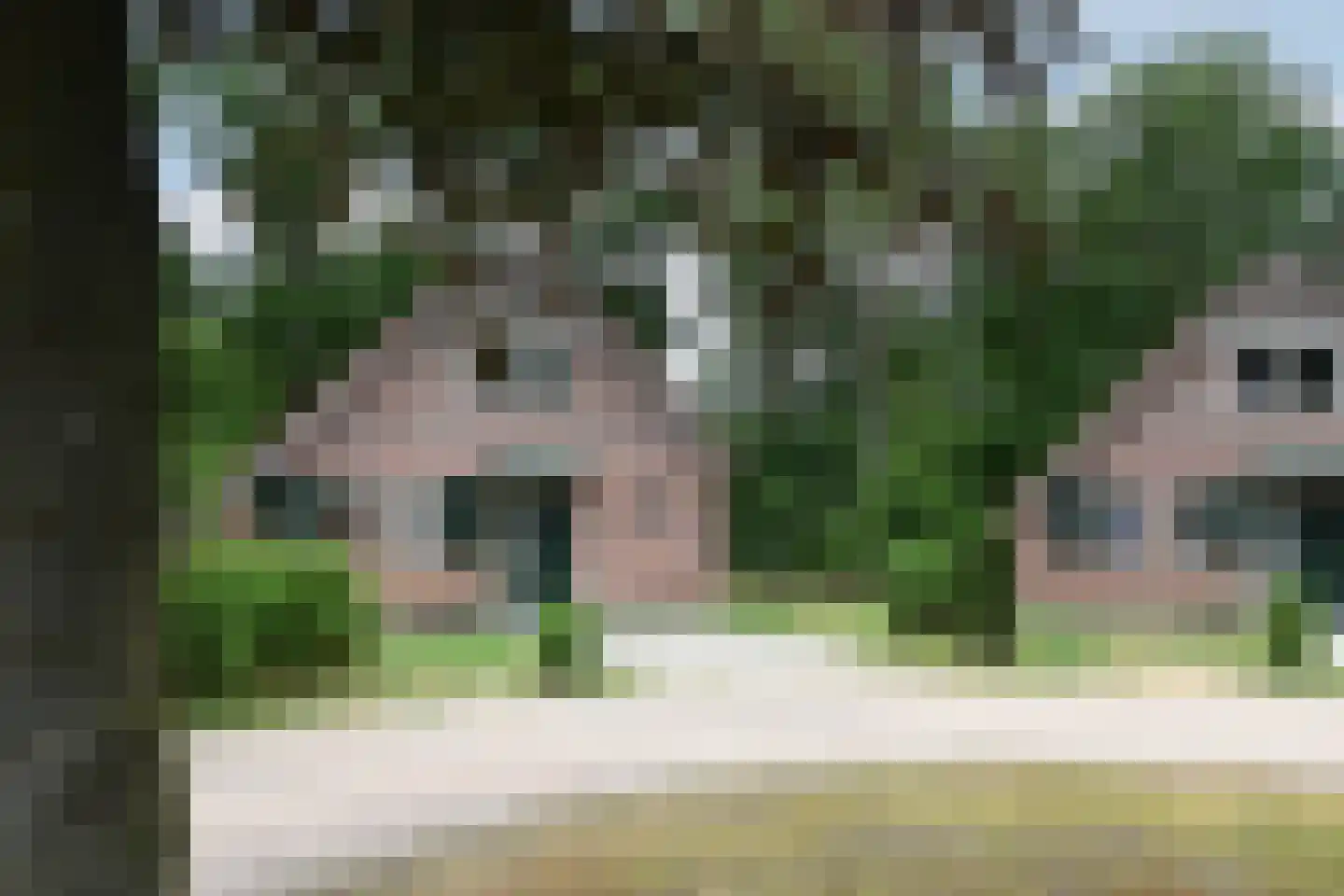 Landweerswal 2 210 Braamt thumbnail 32