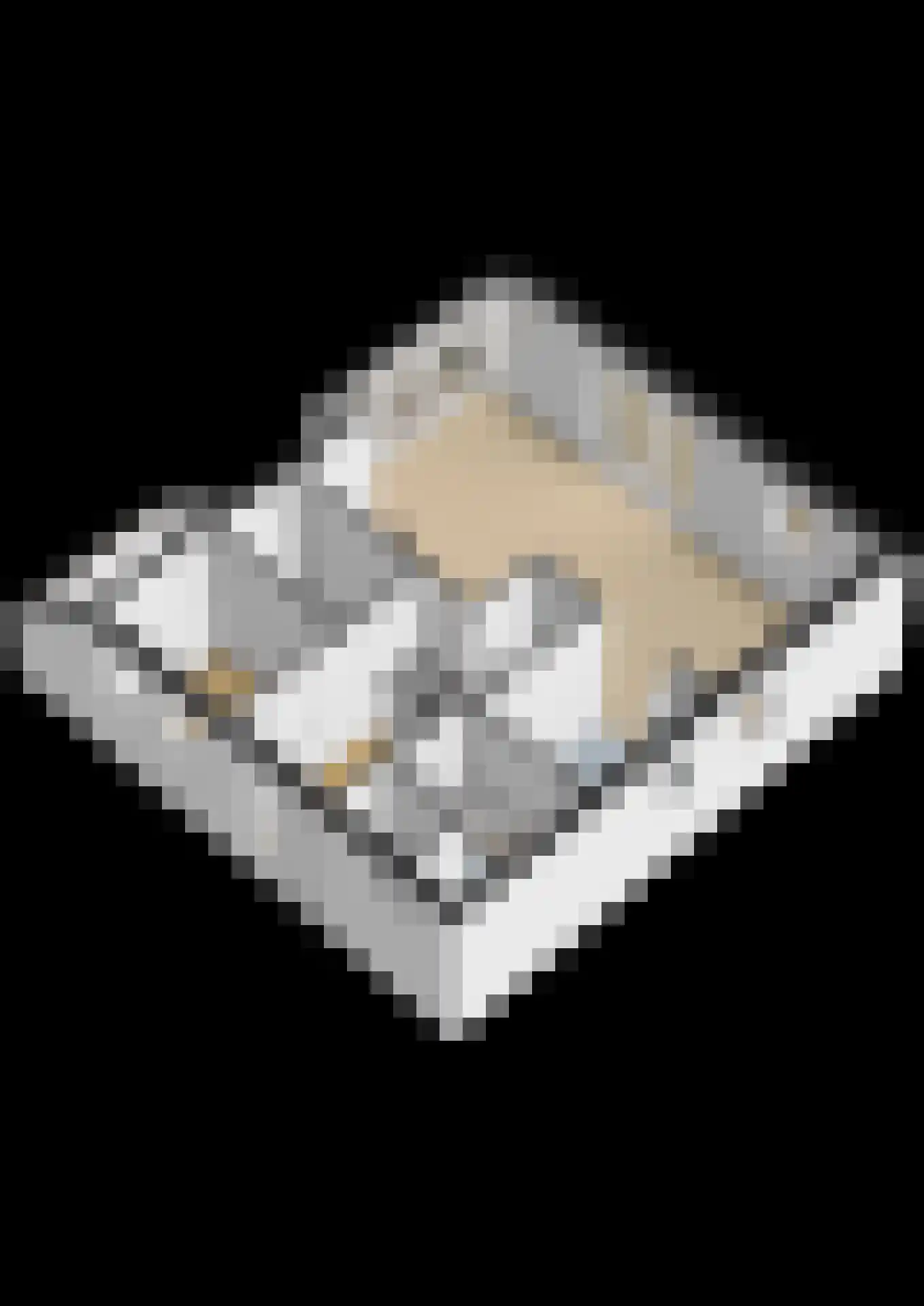 Landweerswal 2 210 Braamt thumbnail 35