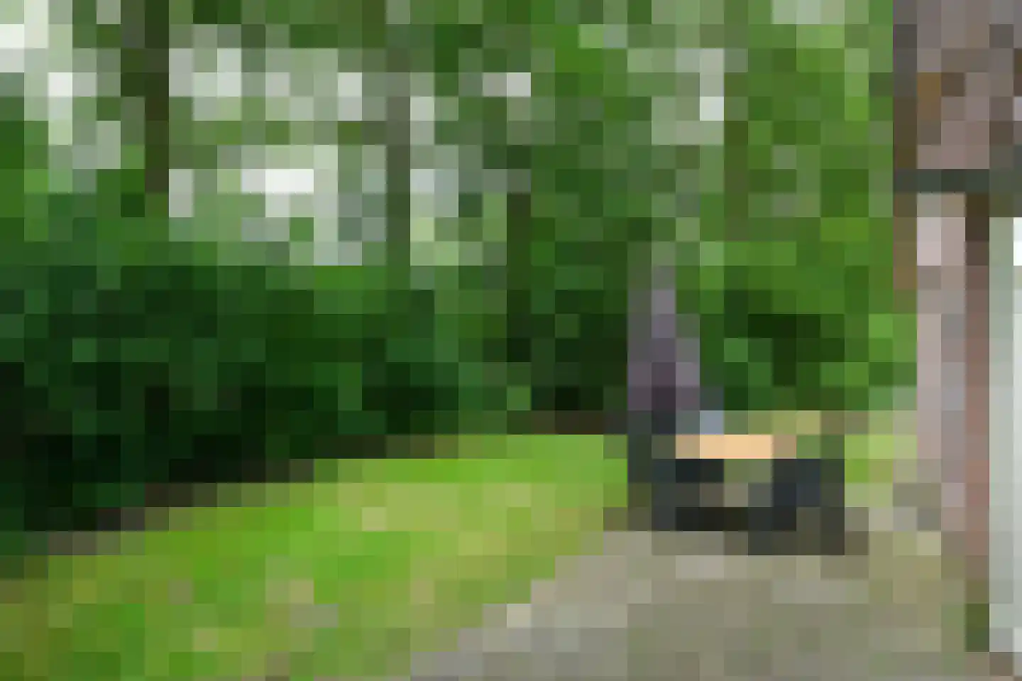 Landweerswal 2 210 Braamt thumbnail 4
