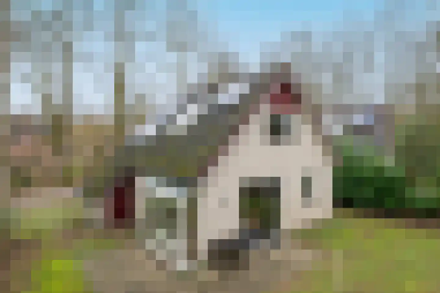 Landweerswal 2 226 Braamt thumbnail 27