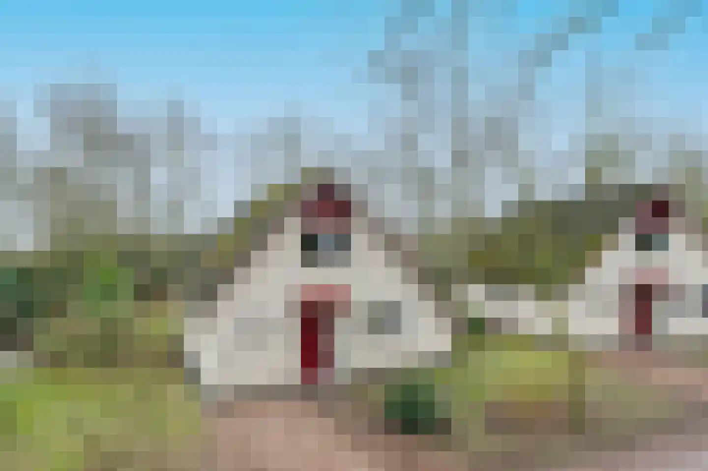 Landweerswal 2 226 Braamt thumbnail 28