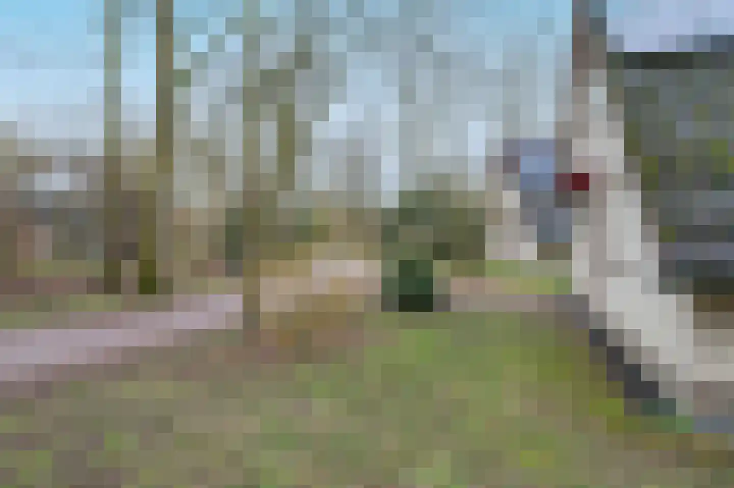 Landweerswal 2 226 Braamt thumbnail 31