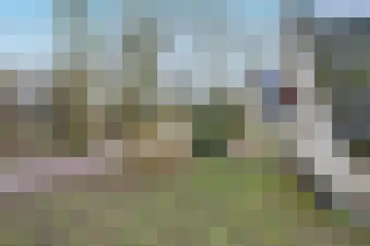 Landweerswal 2 226 Braamt thumbnail 31