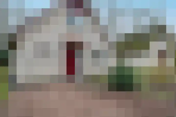 Landweerswal 2 226 Braamt thumbnail 32