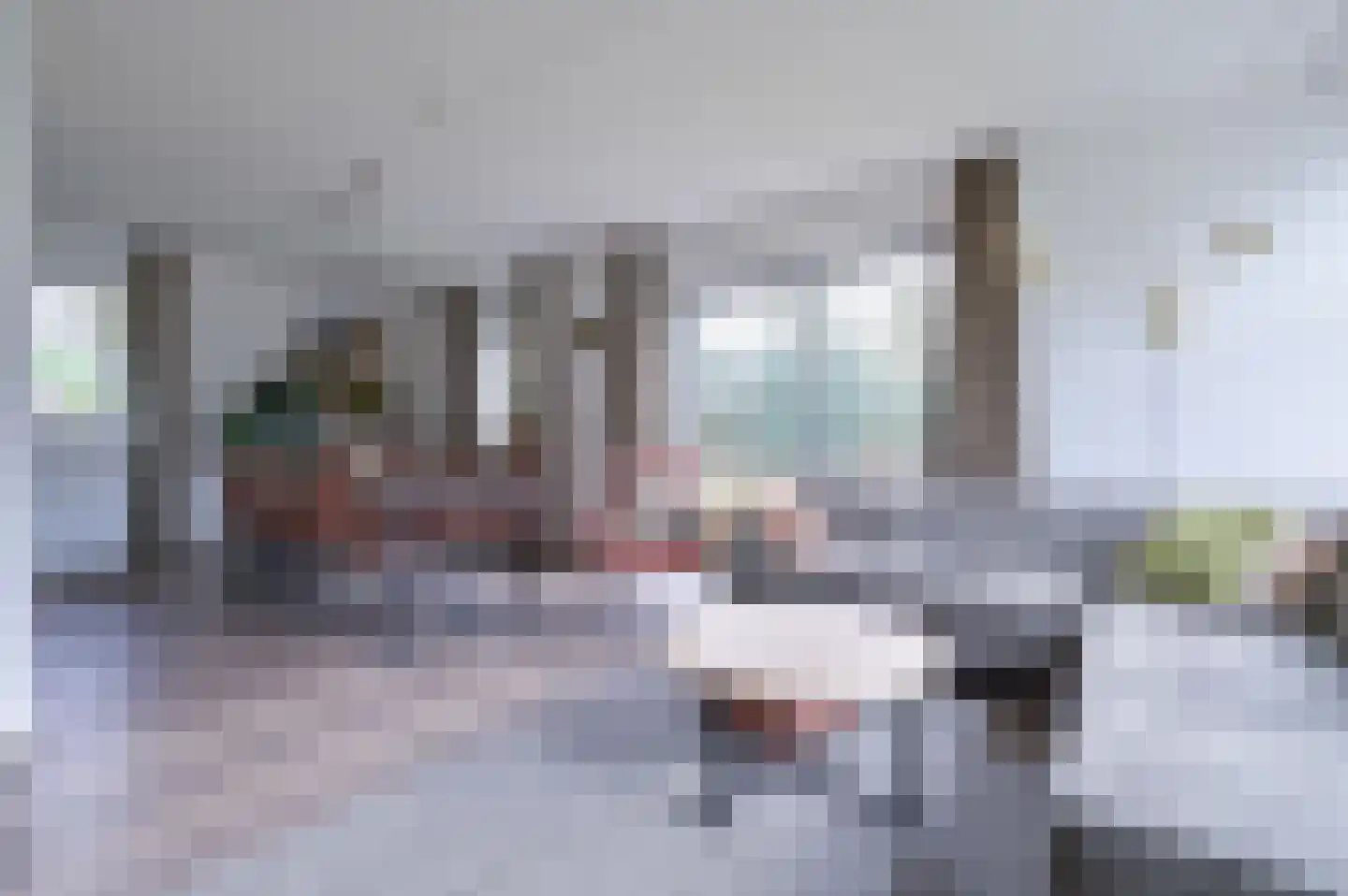Landweerswal 2 226 Braamt thumbnail 4