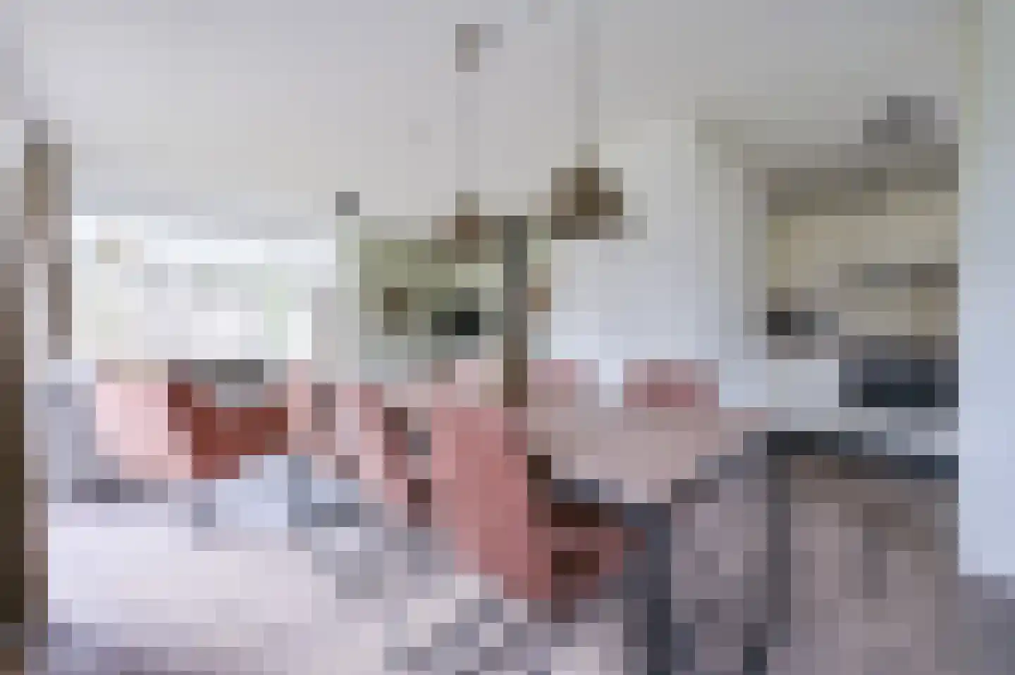 Landweerswal 2 226 Braamt thumbnail 8