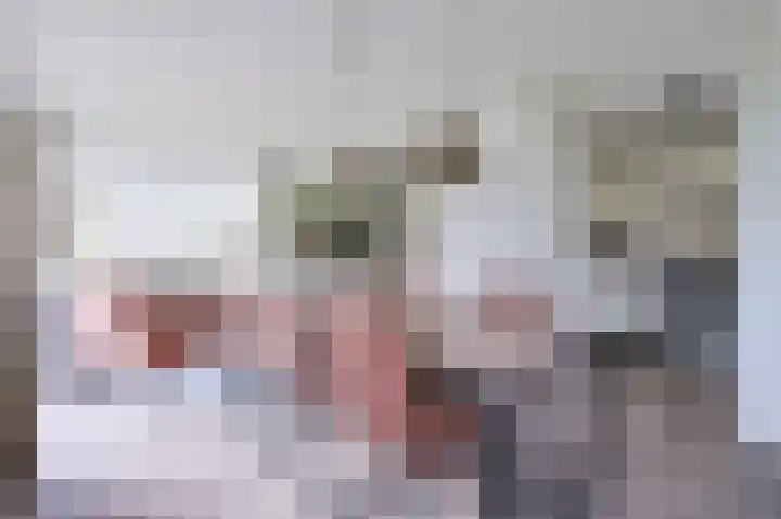 Landweerswal 2 226 Braamt thumbnail 8