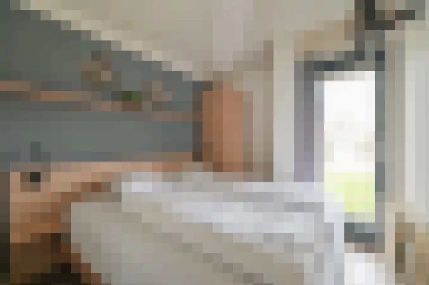 Landweerswal 2 32 Braamt thumbnail 15