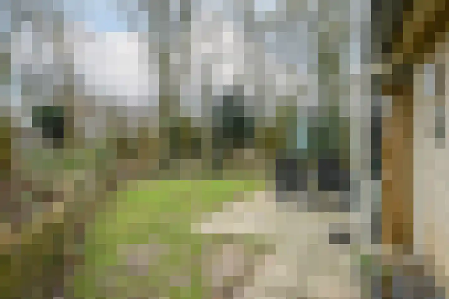 Landweerswal 2 32 Braamt thumbnail 18
