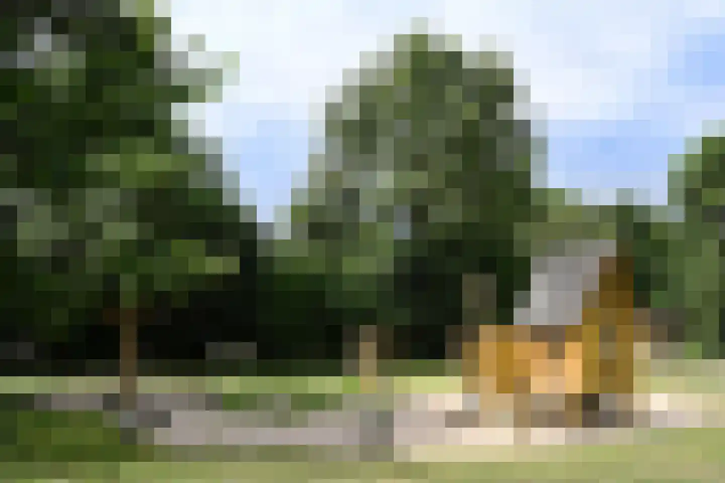 Landweerswal 2 40 Braamt thumbnail 25