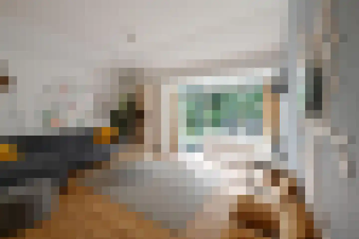 Landweerswal 2 40 Braamt thumbnail 4