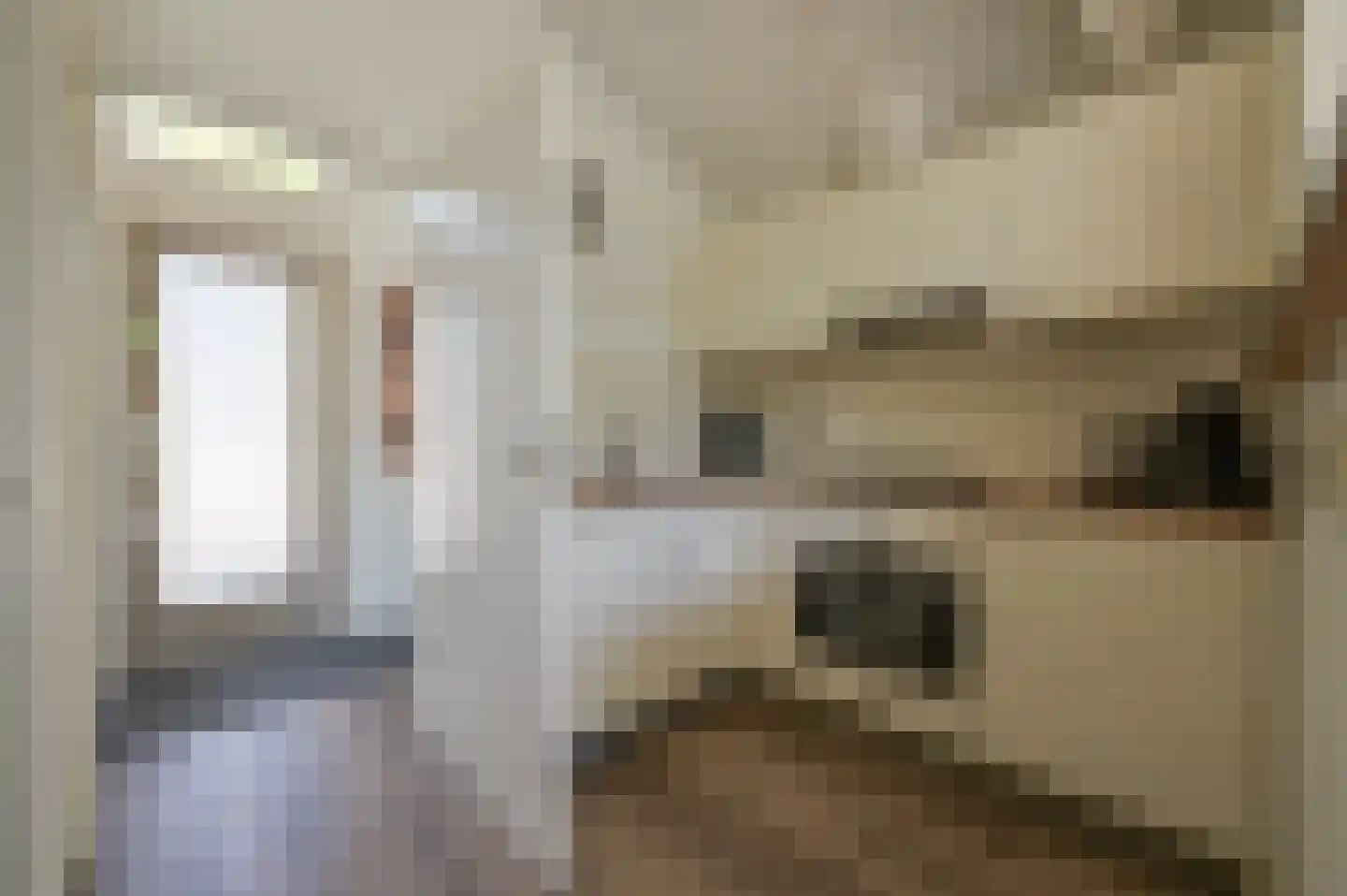 Landweerswal 2 44 Braamt thumbnail 11