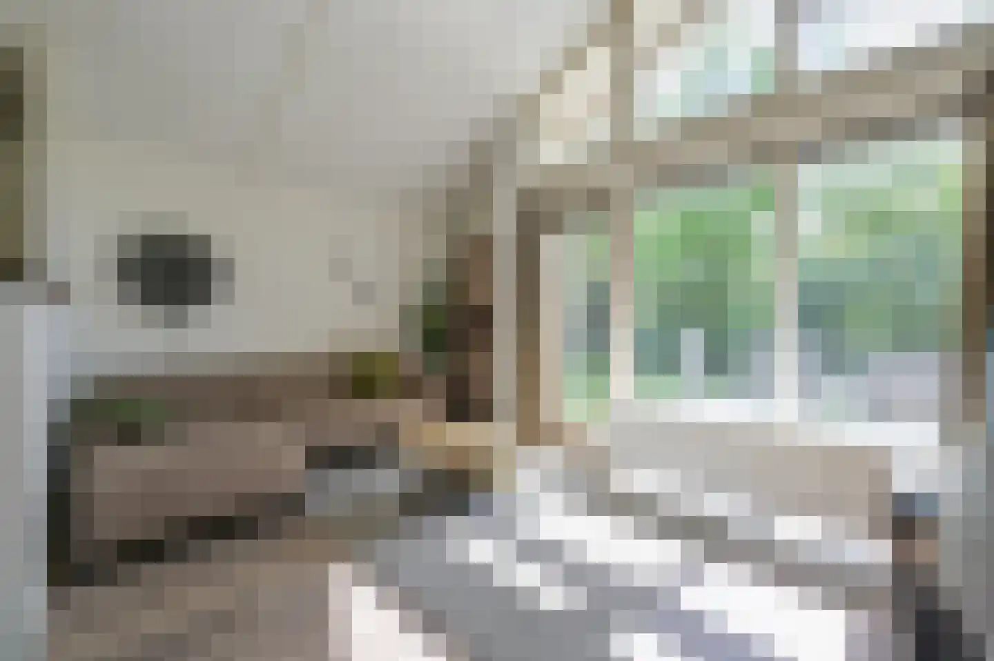 Landweerswal 2 44 Braamt thumbnail 4