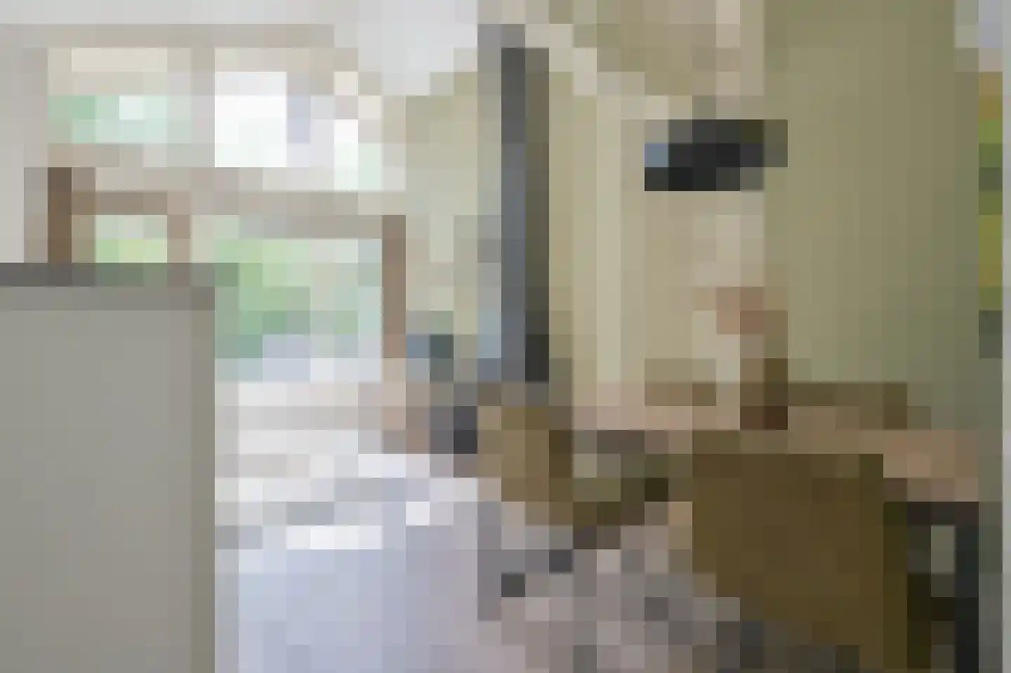 Landweerswal 2 44 Braamt thumbnail 8