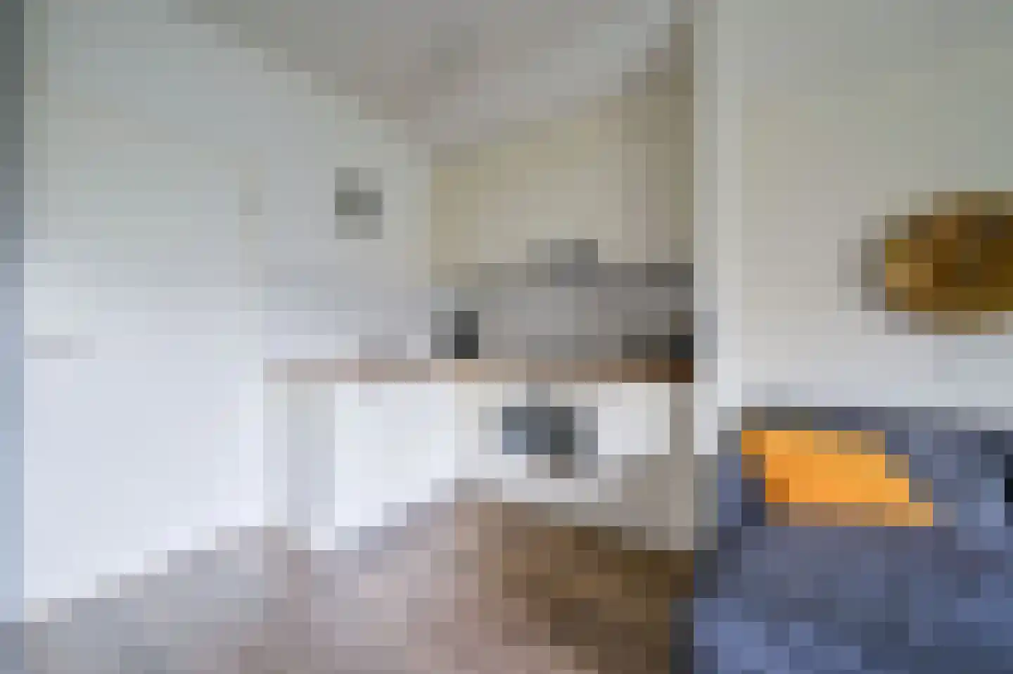 Landweerswal 2 45 Braamt thumbnail 8