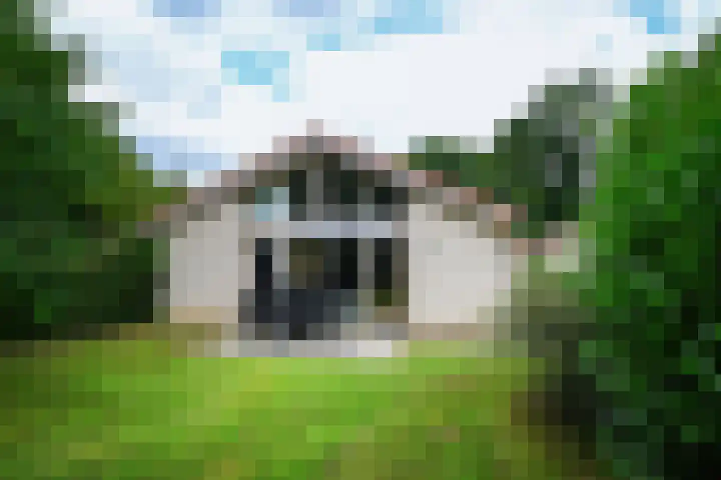 Landweerswal 2 55 Braamt