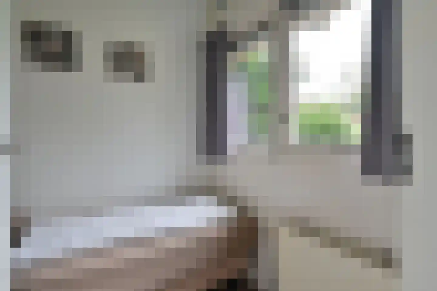 Landweerswal 2 55 Braamt thumbnail 10