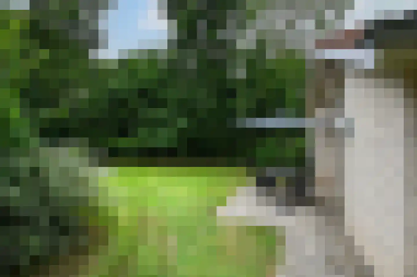 Landweerswal 2 55 Braamt thumbnail 17