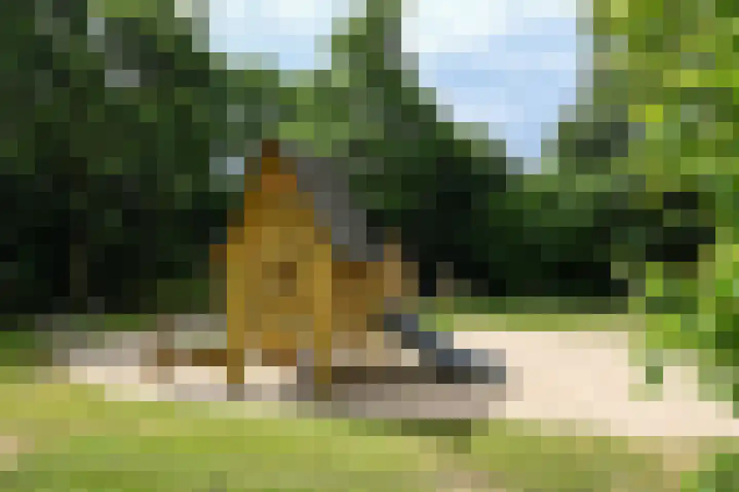 Landweerswal 2 55 Braamt thumbnail 24