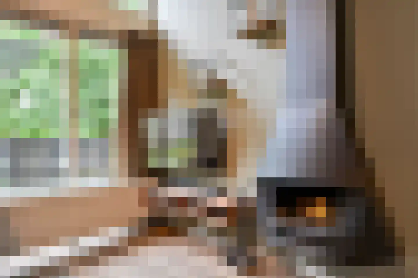 Landweerswal 2 55 Braamt thumbnail 4