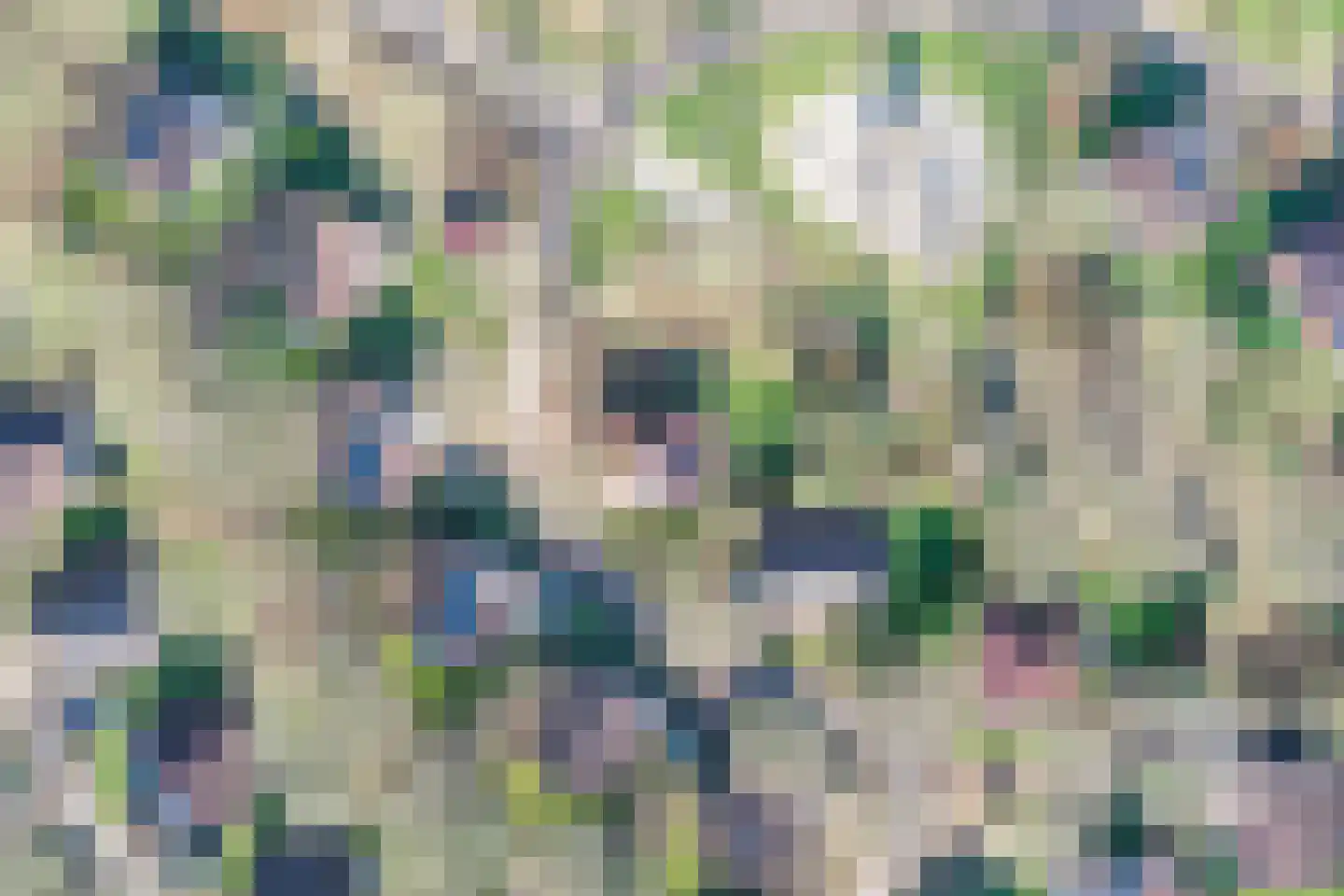 Landweerswal 2 61 Braamt thumbnail 25
