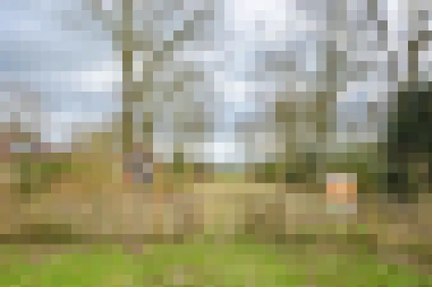 Landweerswal 2 61 Braamt thumbnail 26