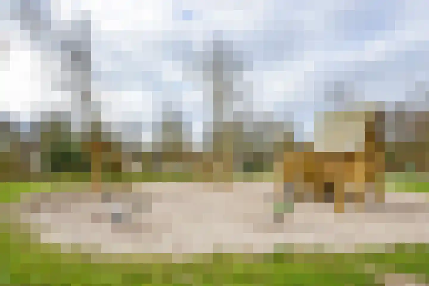 Landweerswal 2 61 Braamt thumbnail 27