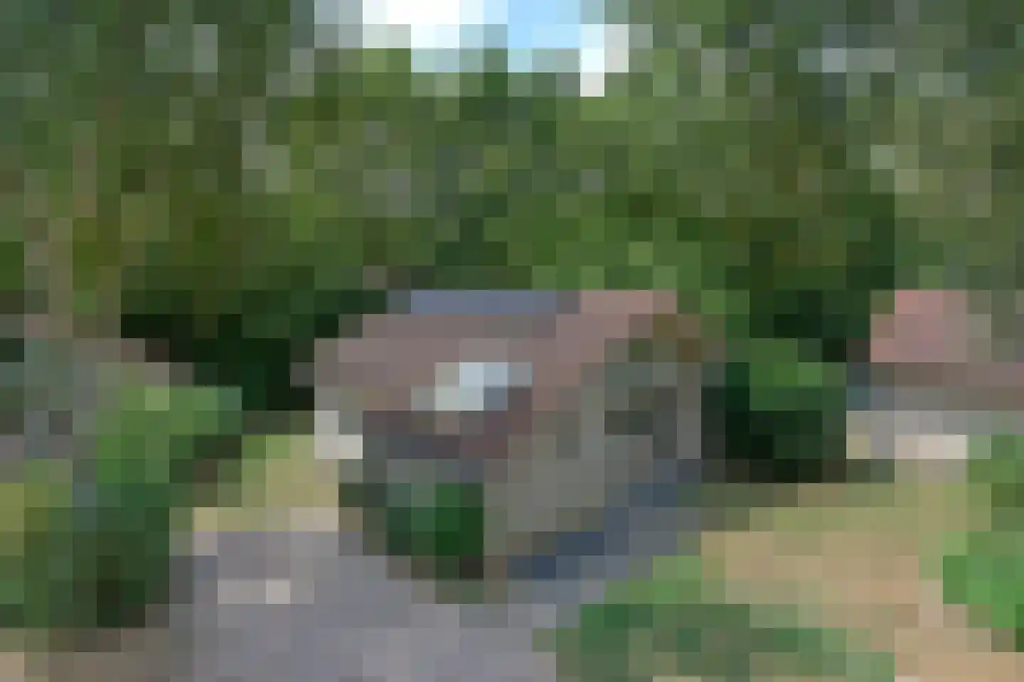 Landweerswal 2 66 Braamt thumbnail 19