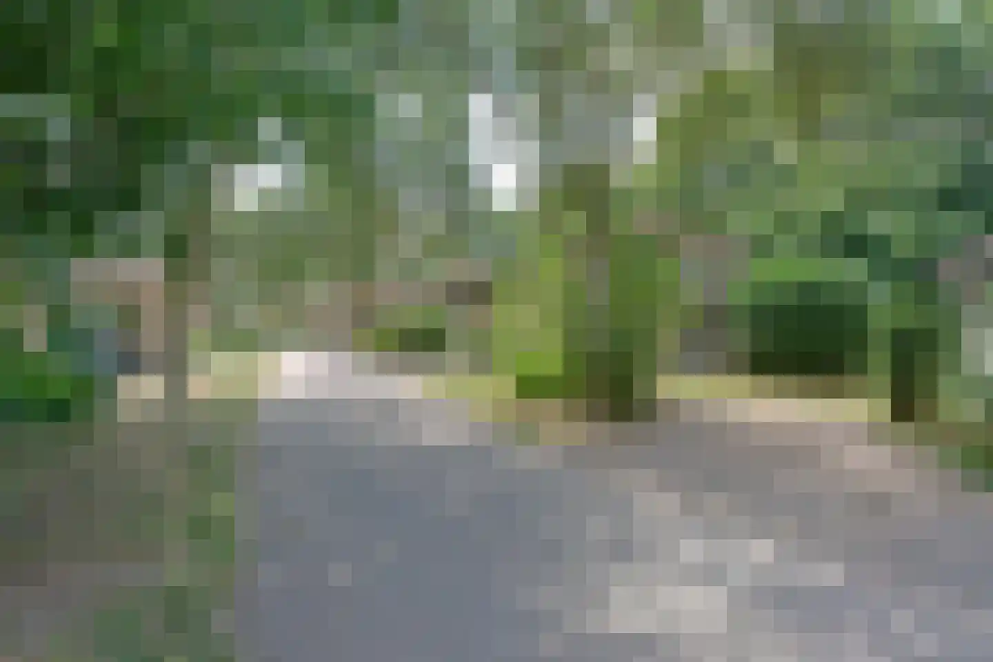 Landweerswal 2 66 Braamt thumbnail 21