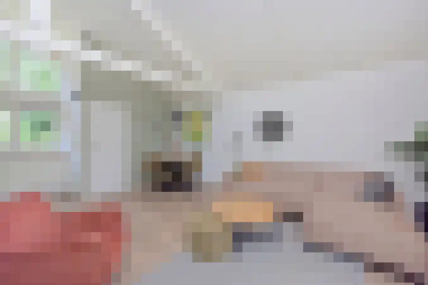 Landweerswal 2 66 Braamt thumbnail 5