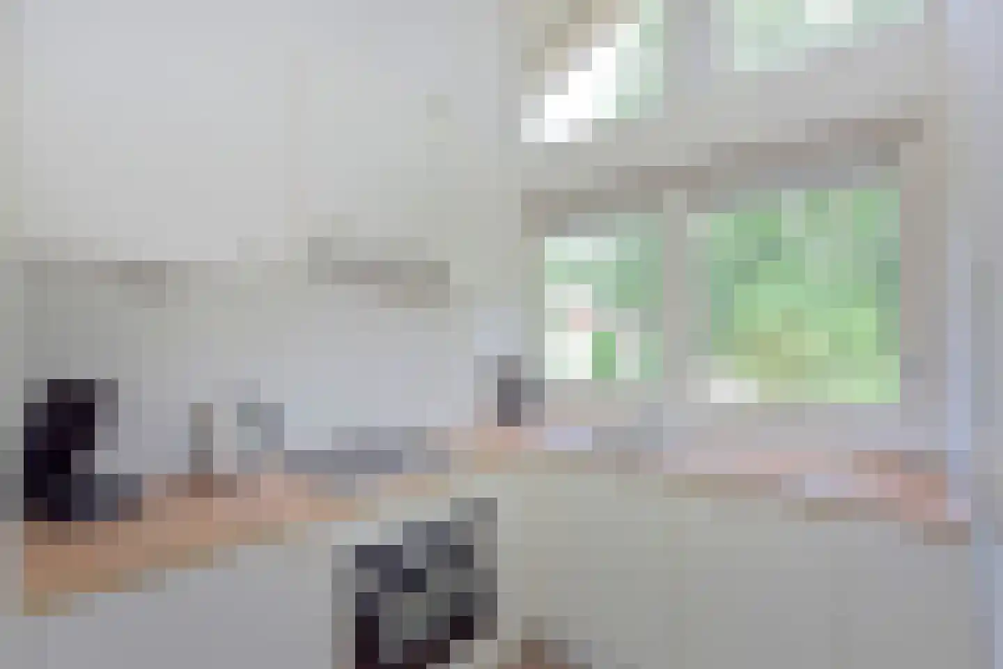 Landweerswal 2 66 Braamt thumbnail 9