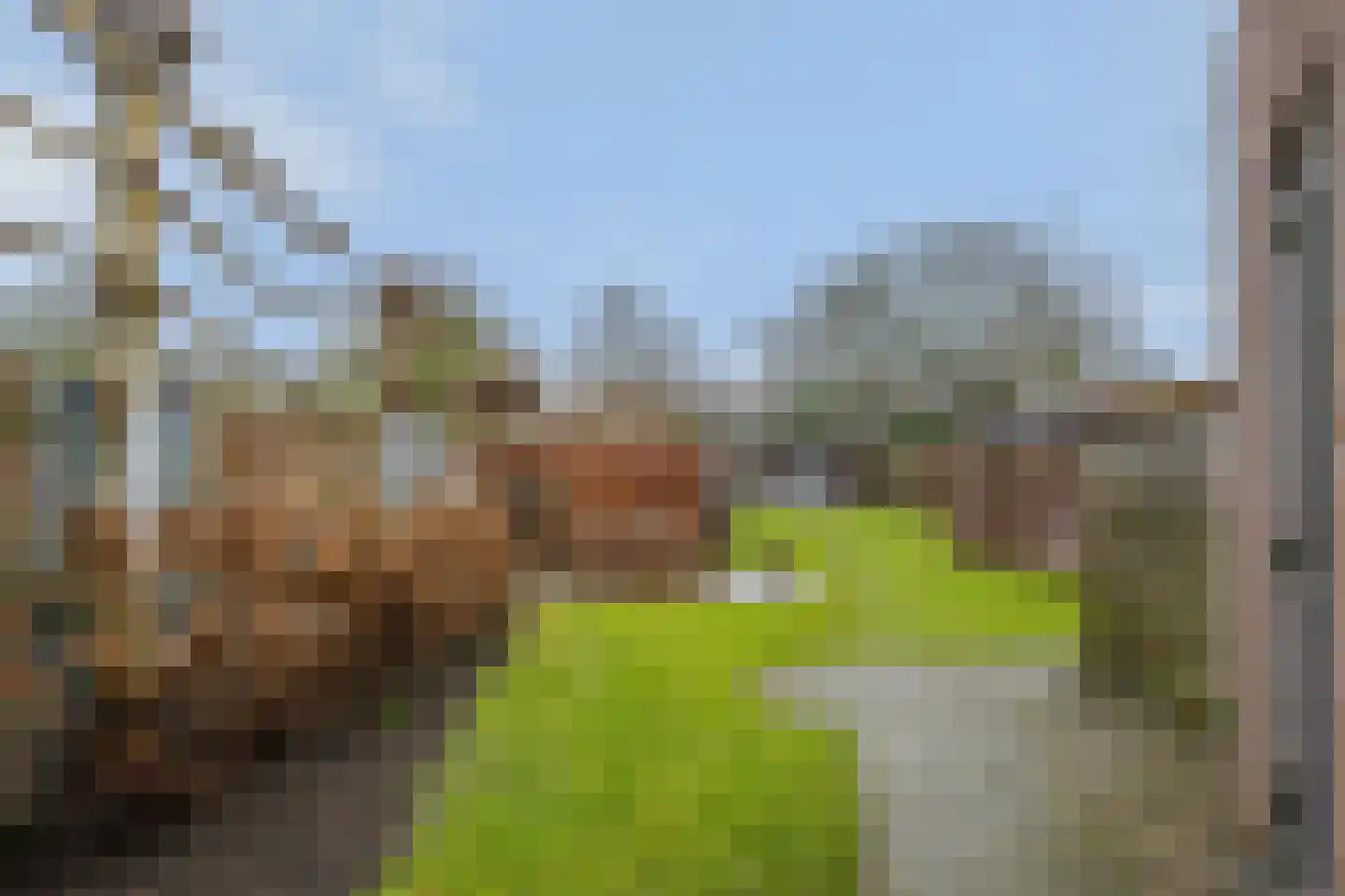 Landweertweg 10 Venray thumbnail 31