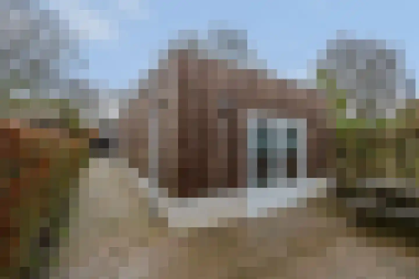 Landweertweg 10 Venray thumbnail 34