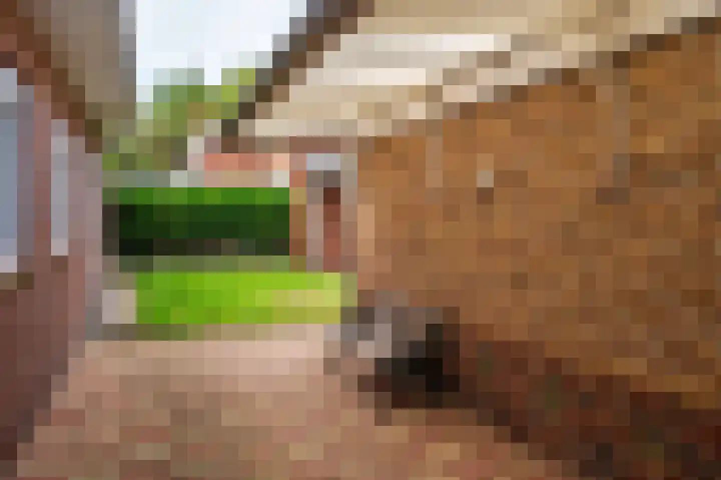 Landweerweg 11 Venlo thumbnail 38