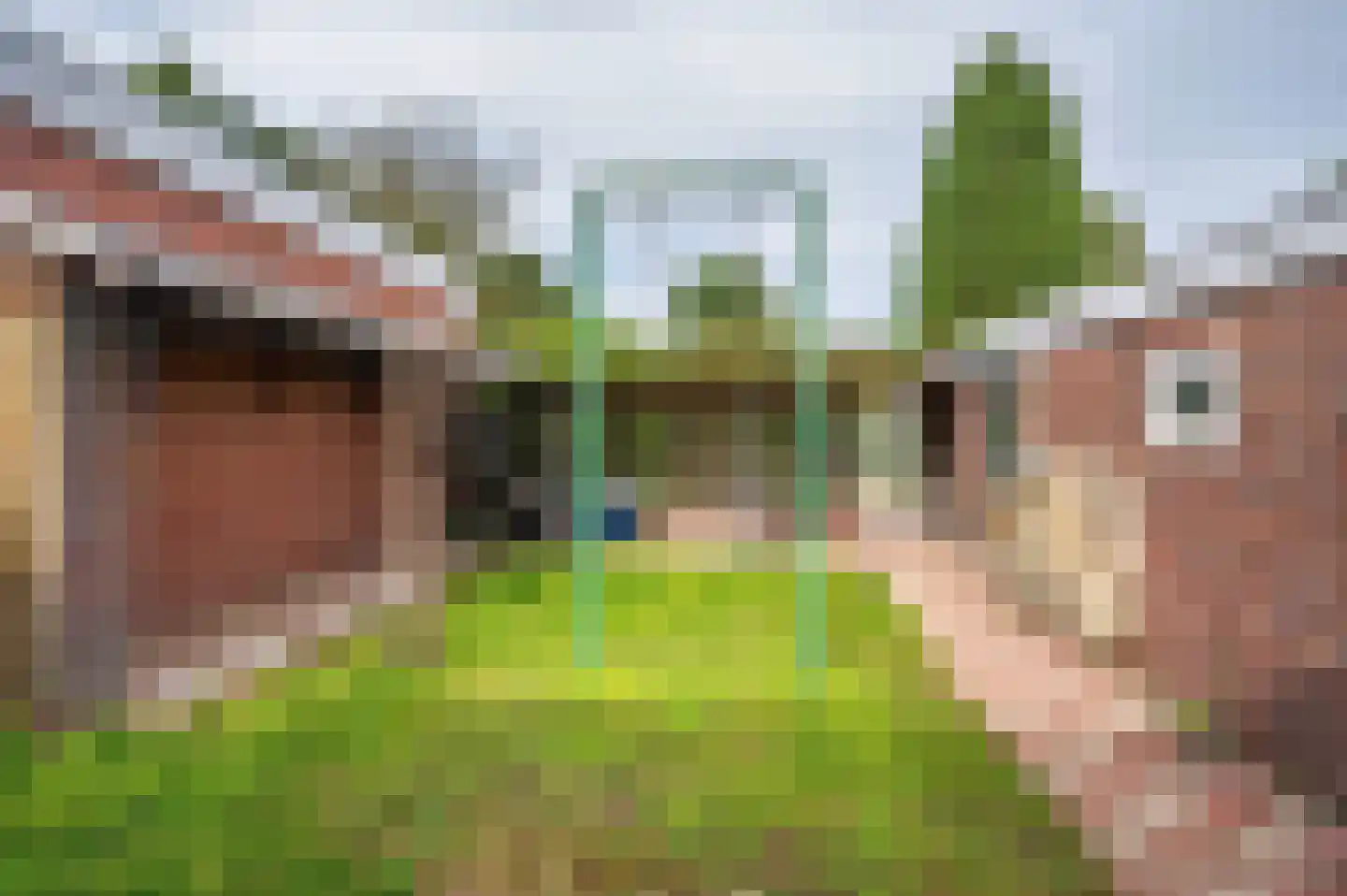 Landweerweg 11 Venlo thumbnail 39