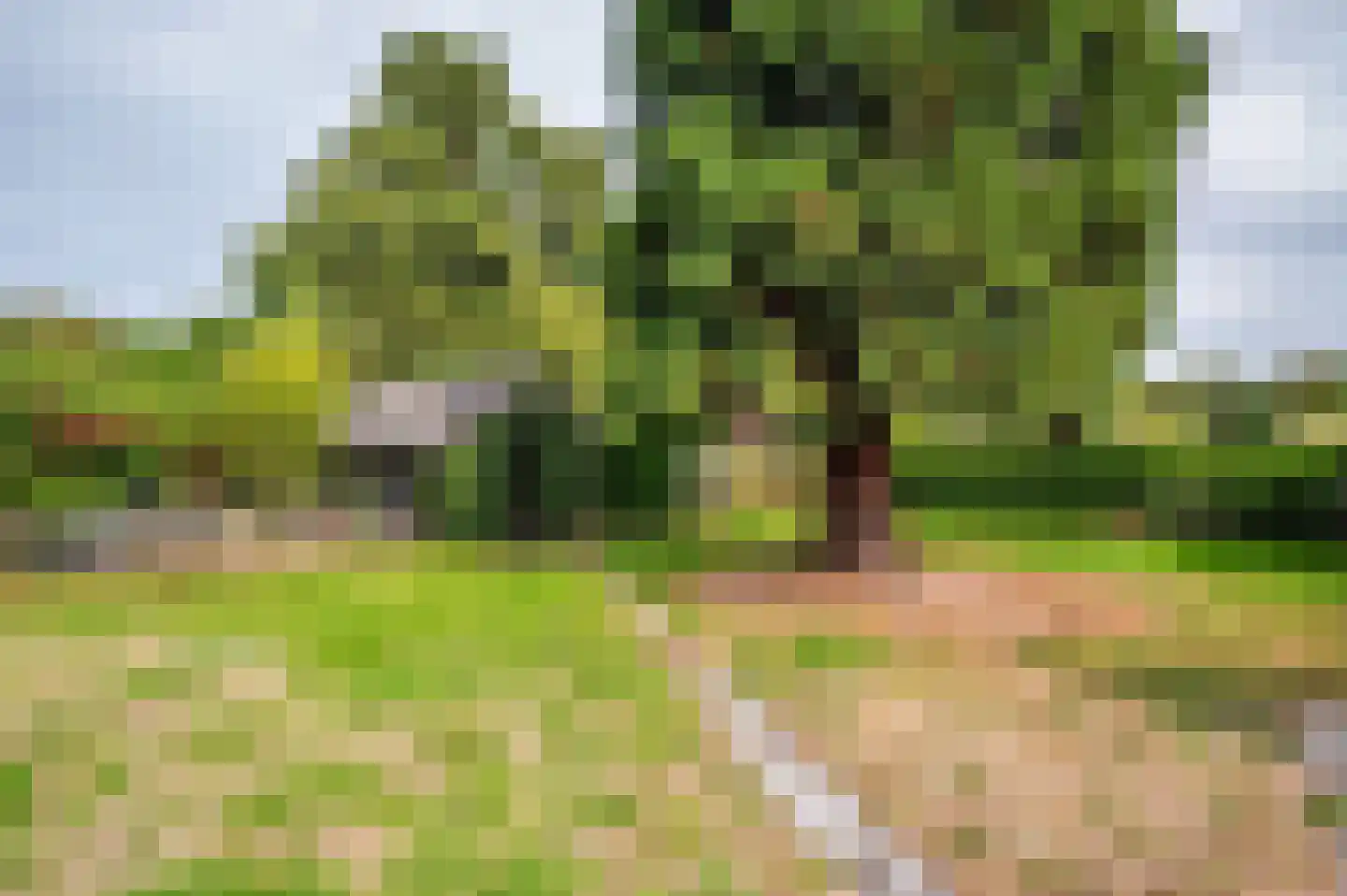 Landweerweg 11 Venlo thumbnail 43