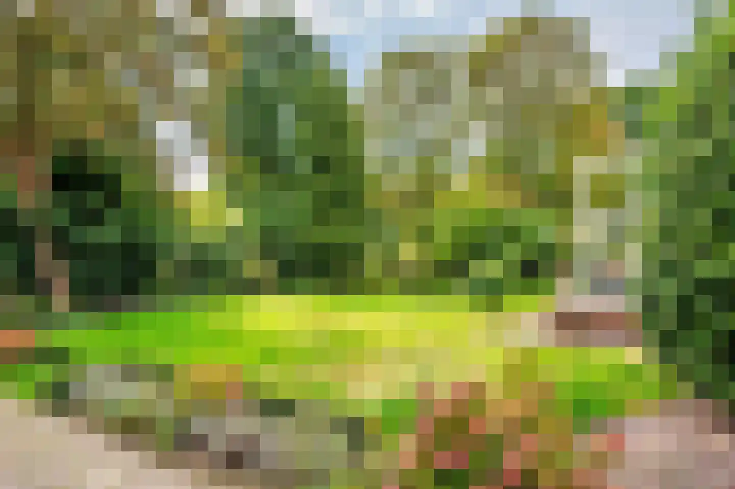 Landweerweg 11 Venlo thumbnail 50