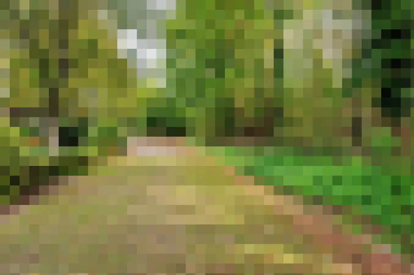 Landweerweg 11 Venlo thumbnail 51