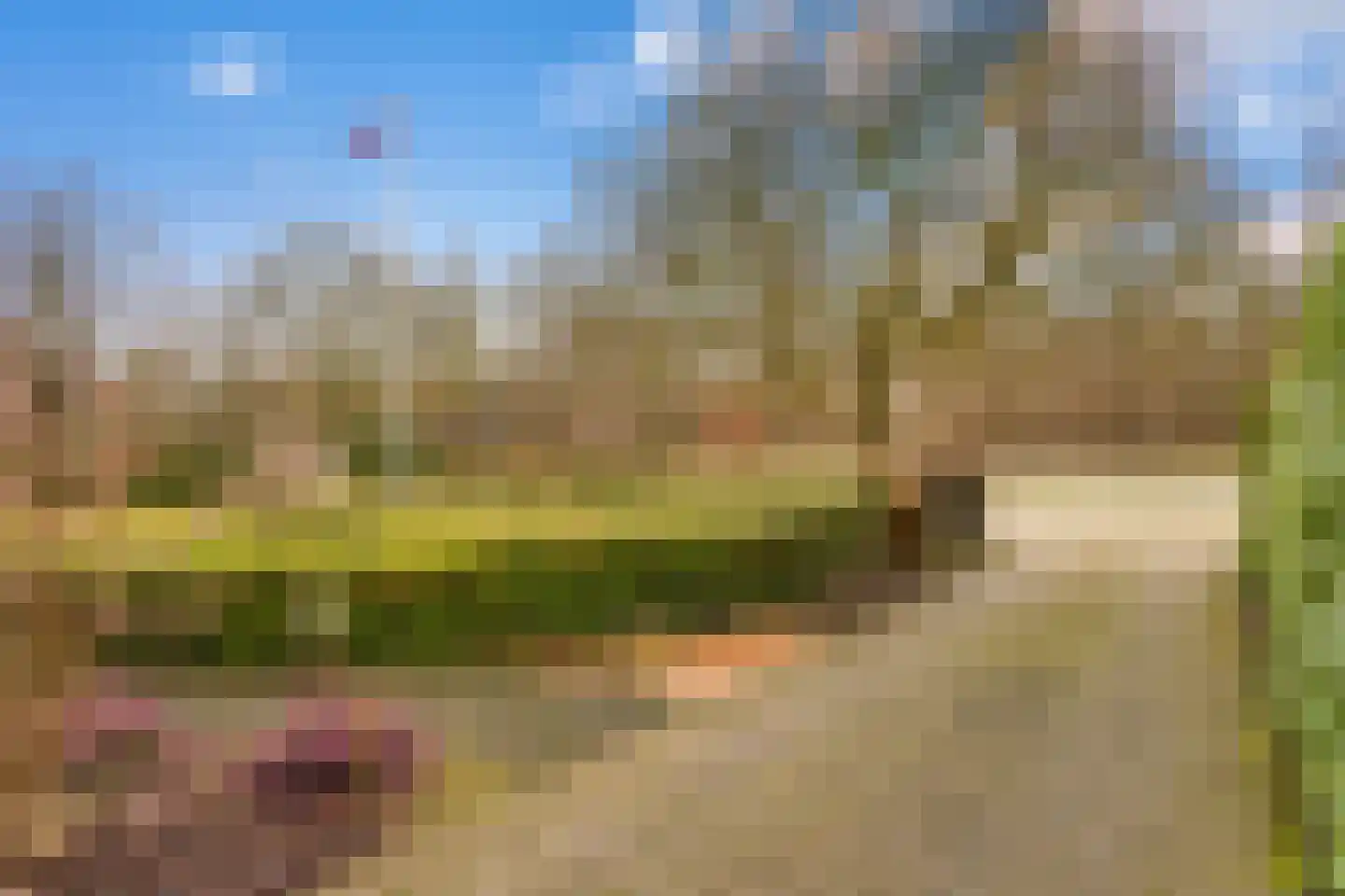 Landweerweg 16 Venlo thumbnail 58