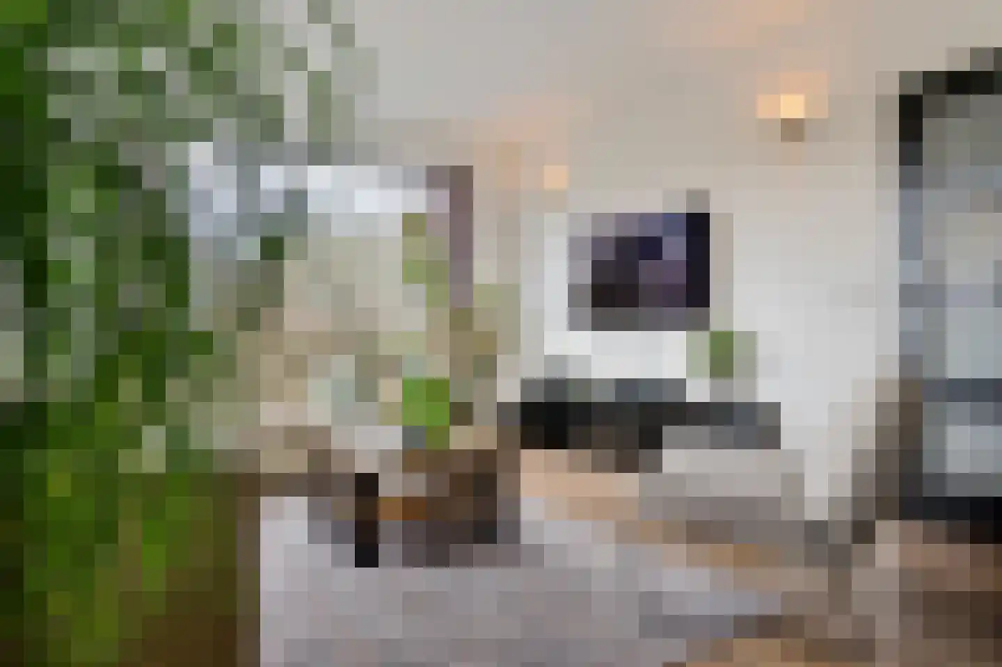 Landweerweg 16 Venlo thumbnail 7