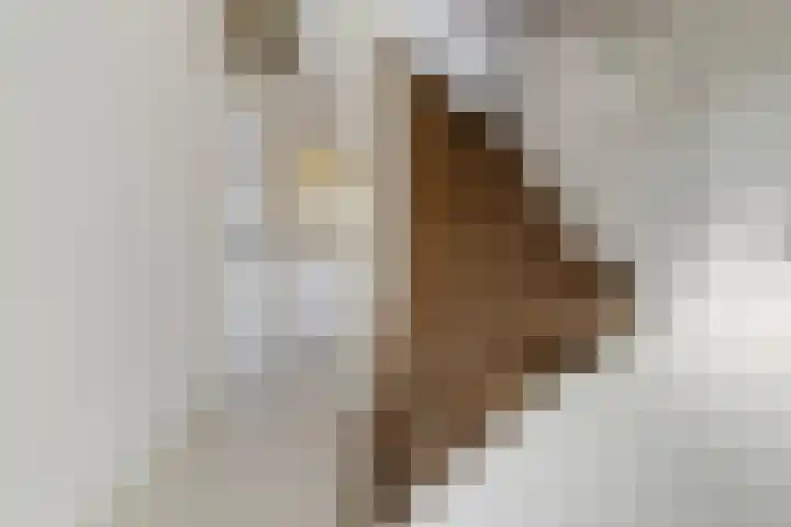 Landweg 12 Huizen thumbnail 11