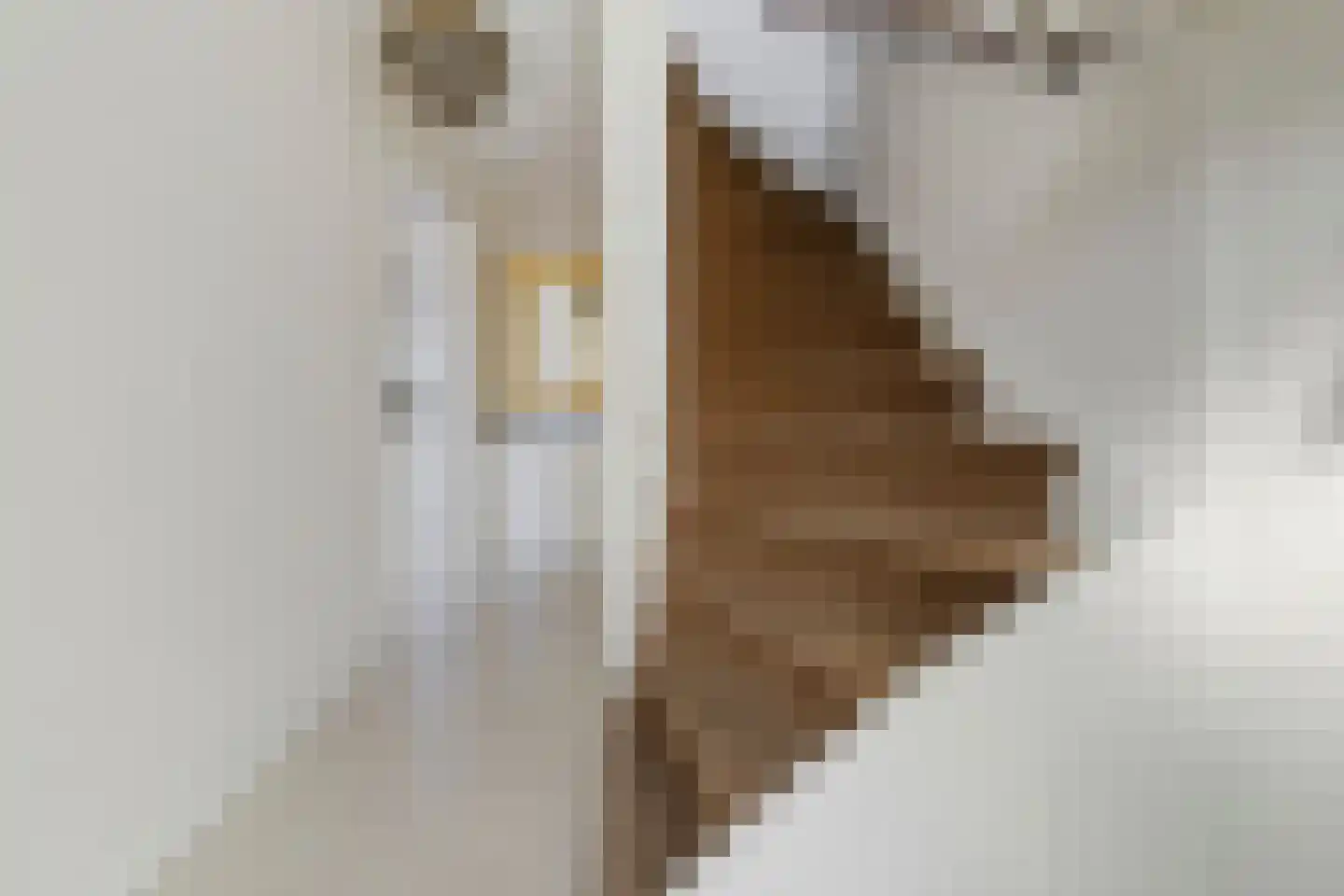 Landweg 12 Huizen thumbnail 11