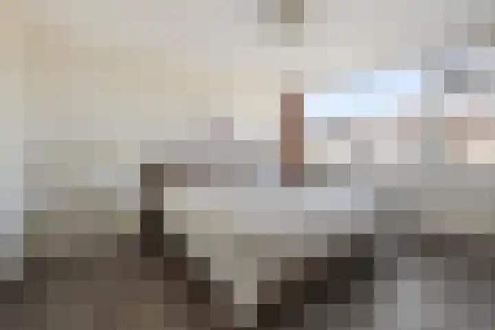 Landweg 12 Huizen thumbnail 12