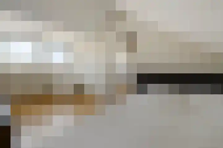 Landweg 12 Huizen thumbnail 23