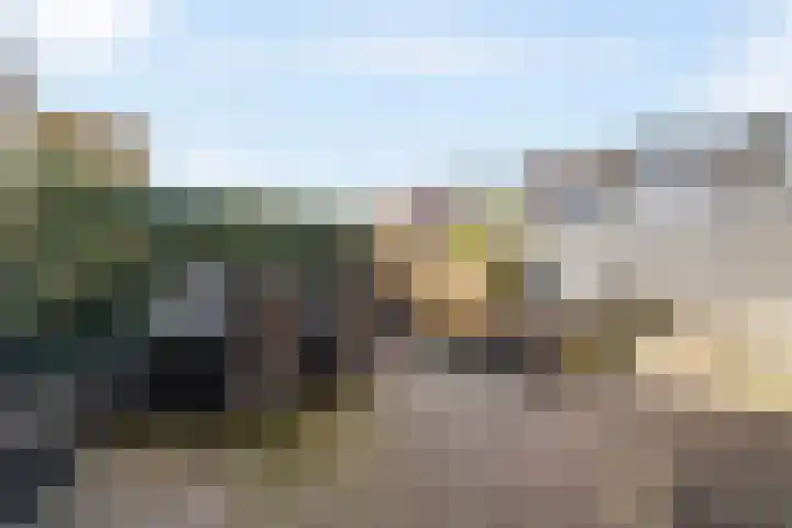 Landweg 12 Huizen thumbnail 26
