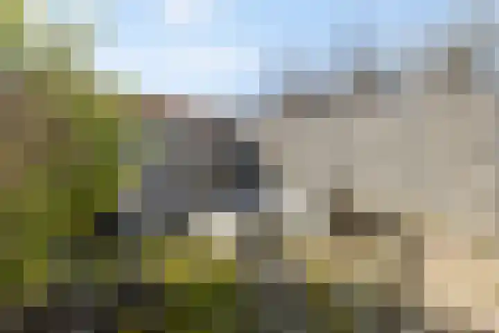 Landweg 12 Huizen thumbnail 27