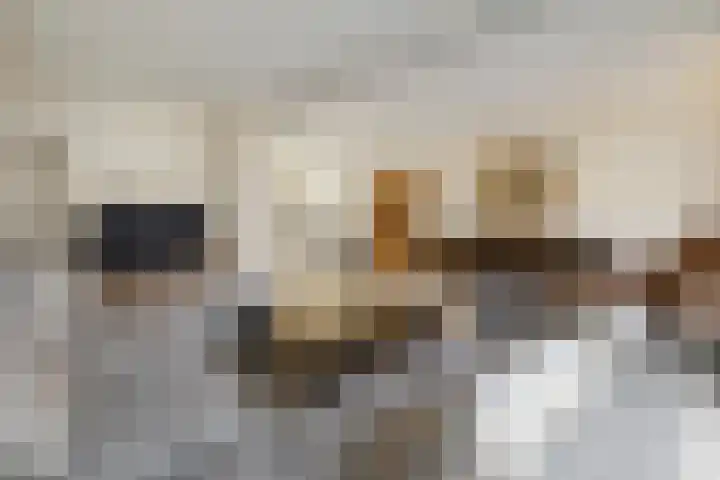 Landweg 12 Huizen thumbnail 4