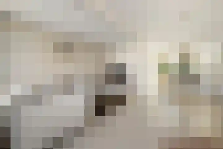 Landweg 12 Huizen thumbnail 5