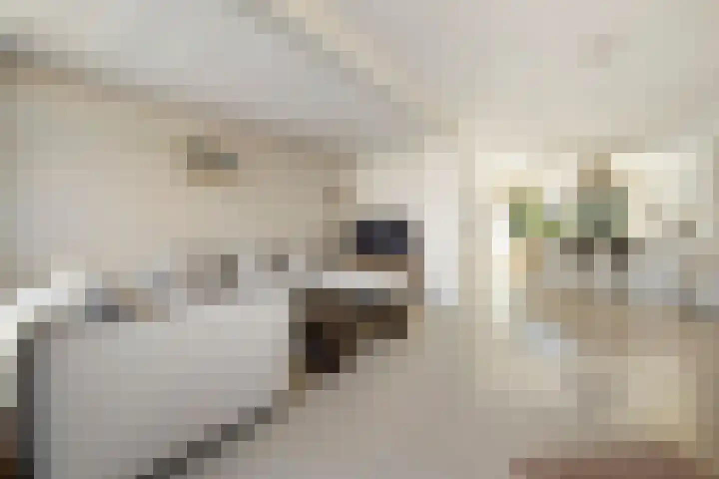 Landweg 12 Huizen thumbnail 5
